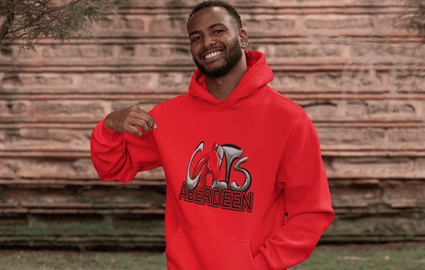 New Aberdeen Colts Hoodies (VIP)